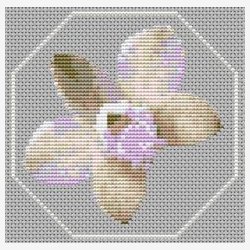 Mini orkider st med 6 stk