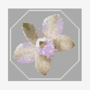 Mini orkider st med 6 stk