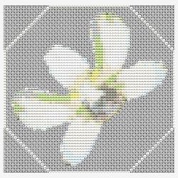 Mini orkider st med 6 stk