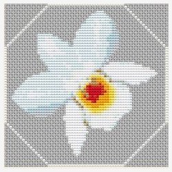 Mini orkider st med 6 stk