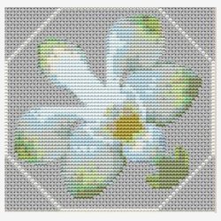 Mini orkider st med 6 stk