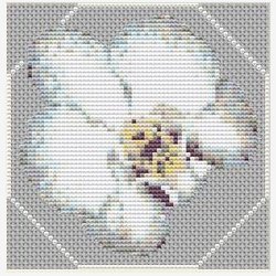 Mini orkider st med 6 stk