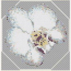 Dkkeserviet med orkid