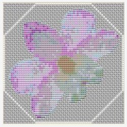 Mini orkider st med 6 stk