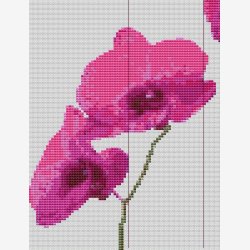 Dug med orkid motver