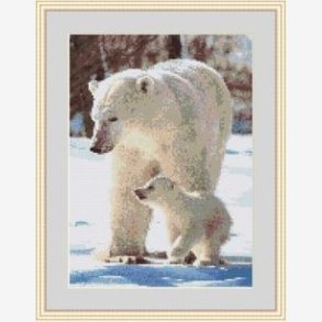 Isbjrn med unge