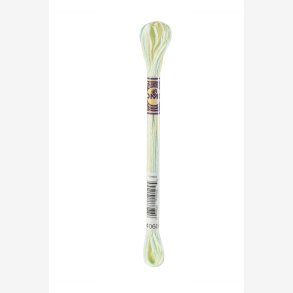 DMC color variation 4060