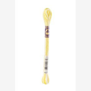 DMC color variation 4077