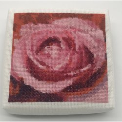 2525 ske med rd rose