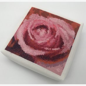 2525 ske med rd rose