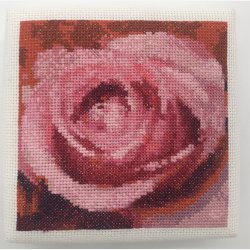 2525 ske med rd rose