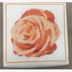 2527 ske med orange  rose