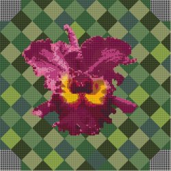 Skammel med smuk Catleya orkid