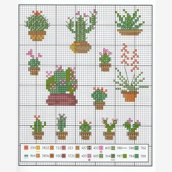 DMC mini bog, Planter