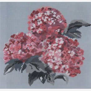 Stramaj pude med rde hortiencia